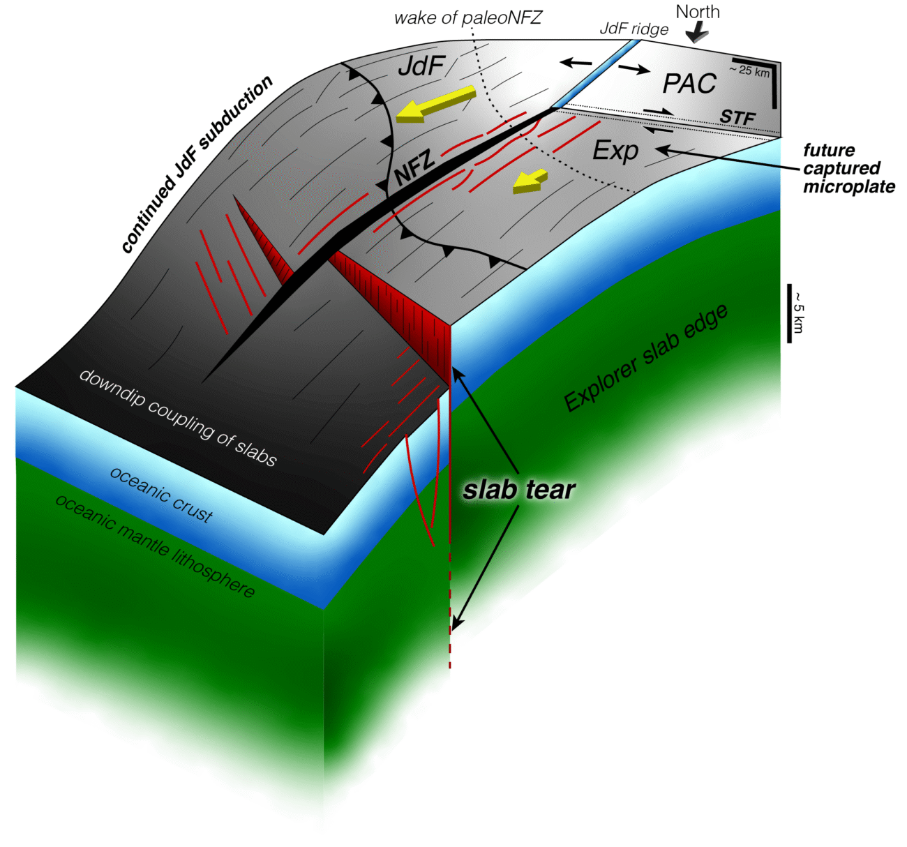 Earth’s Crust Is Tearing Apart off the Pacific Northwest—and That’s Not Necessarily Bad News – State of the Planet