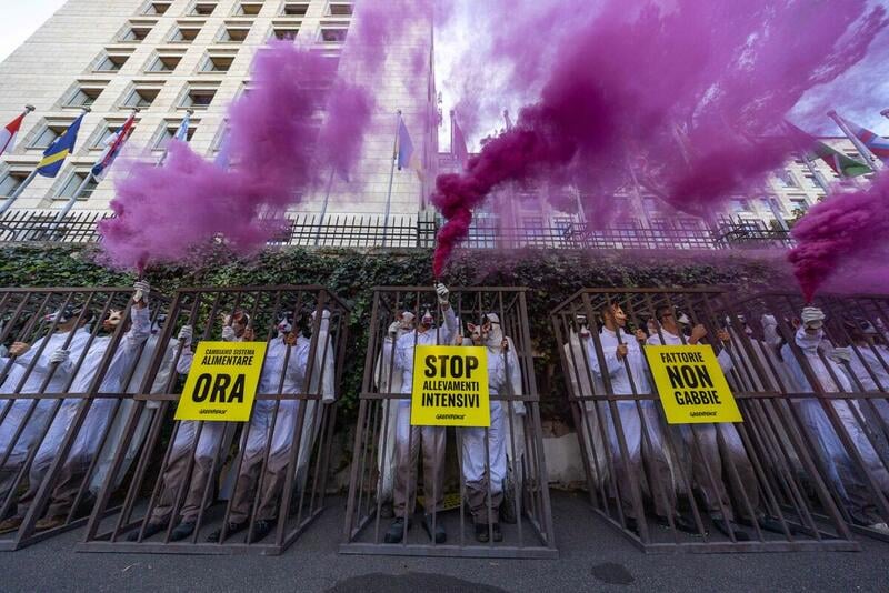 Greenpeace activists in cages confront UN livestock conference in call for just transition from industrial agriculture