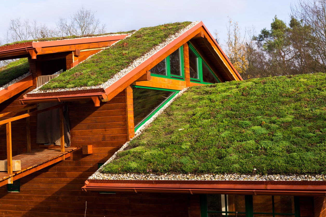 How Green Roofs Capture 98% of Rainwater Microplastics