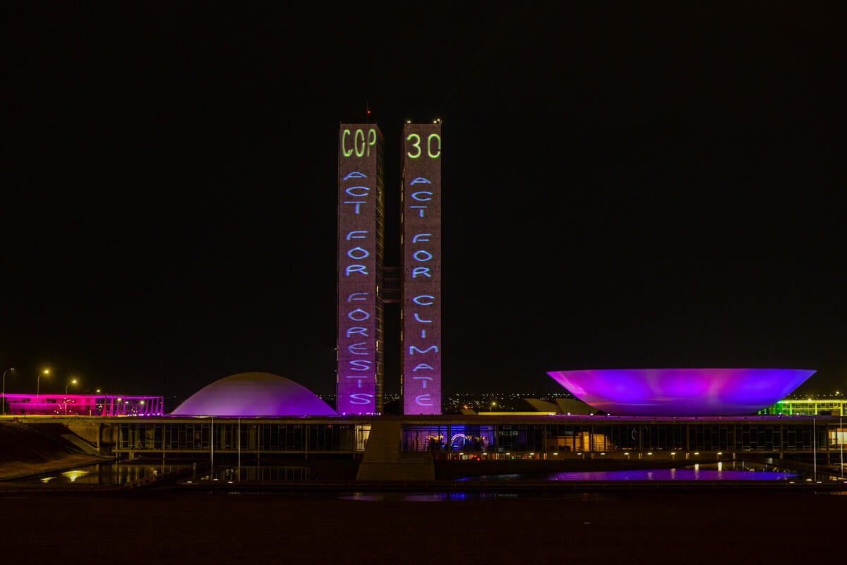 Greenpeace urges Pre-COP talks to propel forest and climate action at COP30