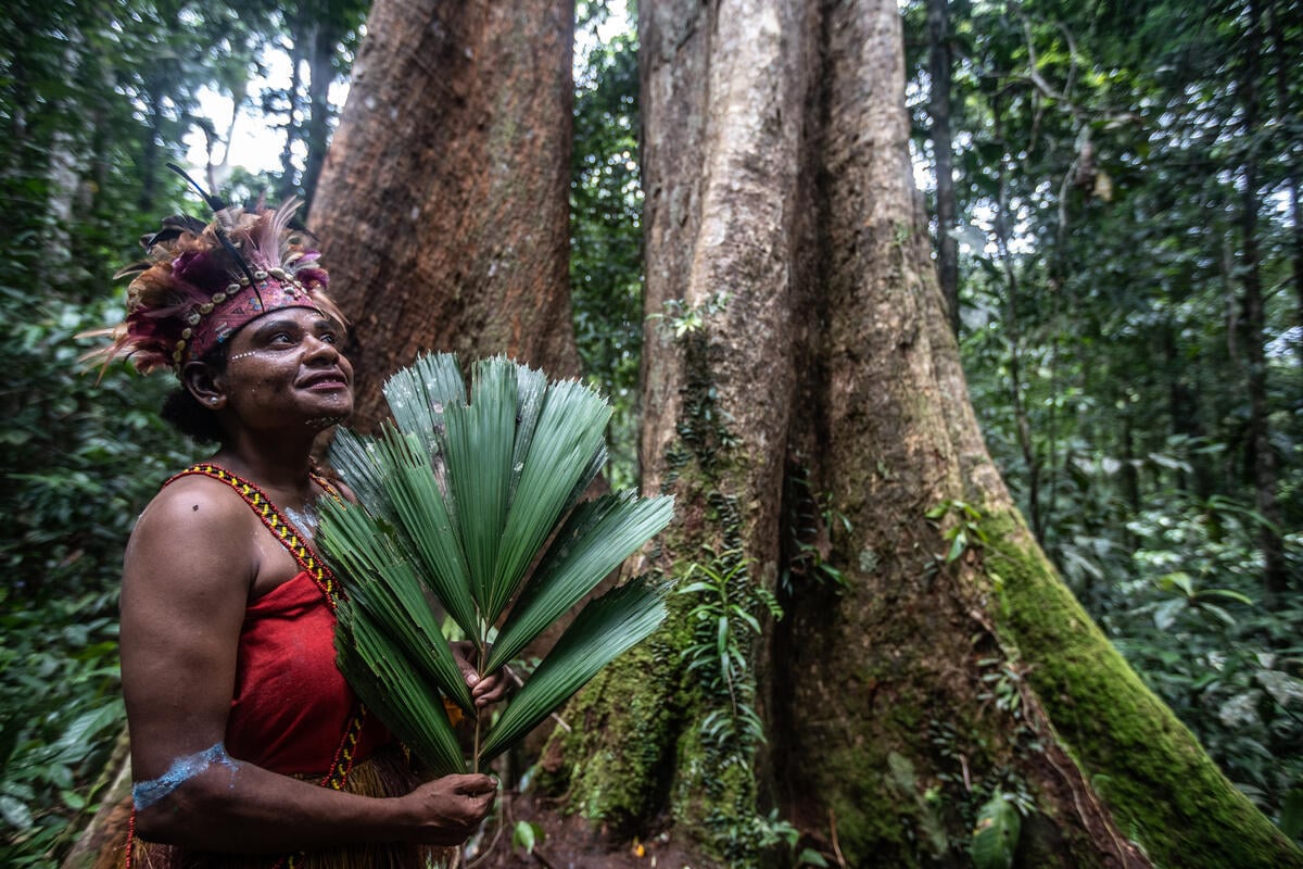 Greenpeace Pictures of the Week