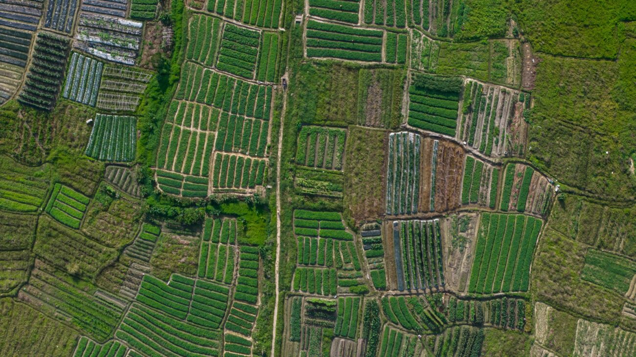 New EAT-Lancet Report Is a Sustainable Food Systems Roadmap – State of the Planet