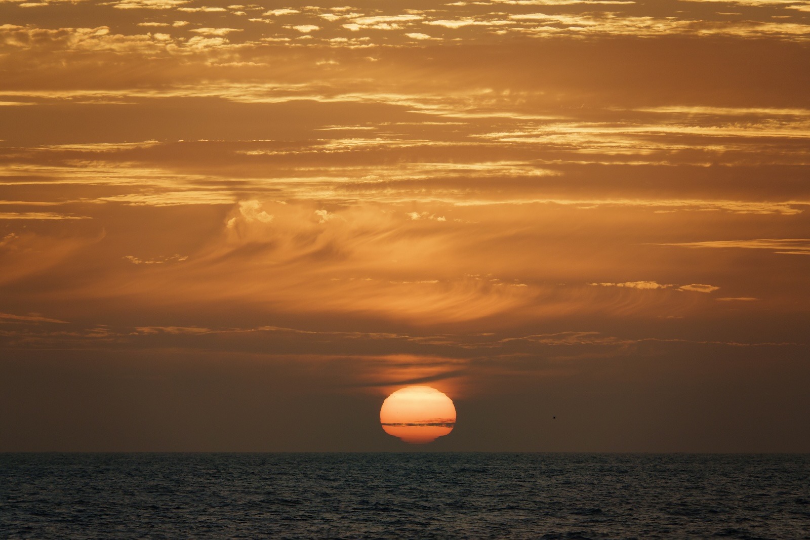 The ocean is a carbon toilet. Marine heat waves are clogging it.