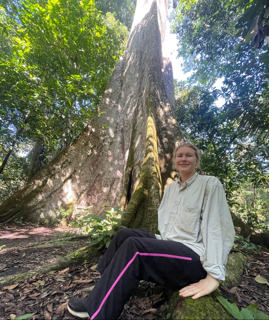 A New Study Indicates Forest Regeneration Provides Climate Benefits, but Won’t Offset Fossil Fuels – State of the Planet