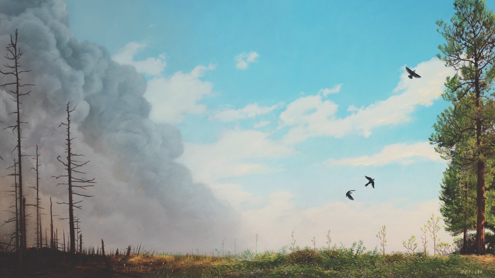 The ambitious plan to protect Northern California’s Plumas National Forest from wildfires